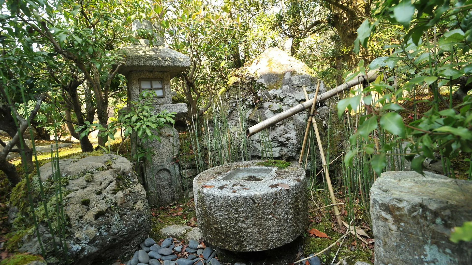 קיוטו Ryokan Yamazaki יפן
